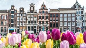 Learn about our Tulips & Windmills itinerary with Joost Ouendag