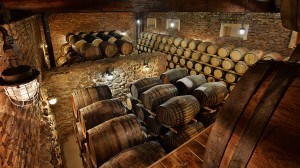 Delve into the story of Baron Joseph James Forrester with guest lecturer Dr. Sherry Hutt