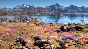 Venture Above the Arctic Circle