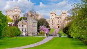 Go behind the scenes of the Royal Library with Oliver Everett