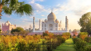 Discover India’s Golden Triangle with Joost Ouendag