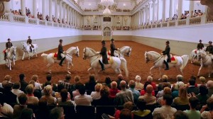 Vienna's Famed Lipizzaner Stallions