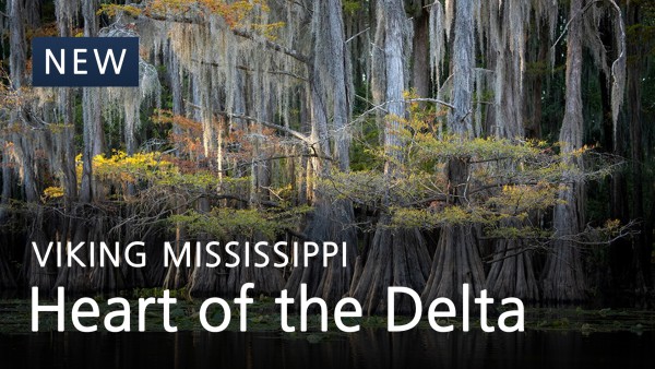 Heart of the Delta