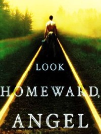 Look Homeward, Angel (TV)