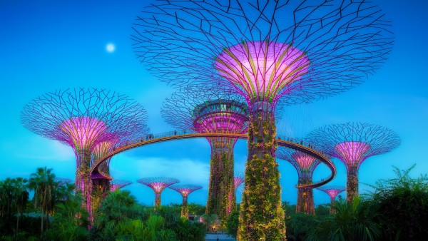 Explore Singapore’s stunning Gardens by the Bay on our Secrets of Southeast Asia itinerary