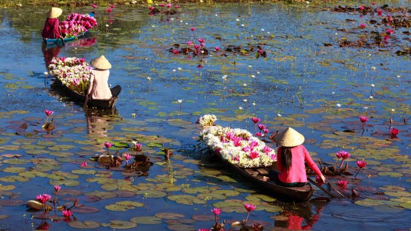 Learn about our Magnificent Mekong itinerary with Neil Barclay
