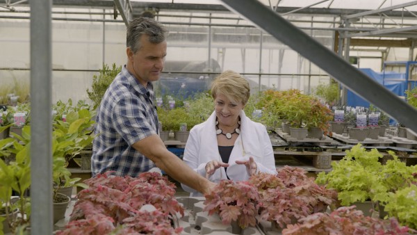 Anne Diamond learns about the art of gardening with designer Antony Henn 
