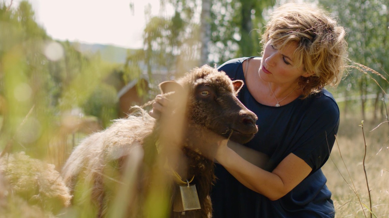 Sissel Sundays: Honoring Louis Armstrong & Martin Luther King, Jr.)