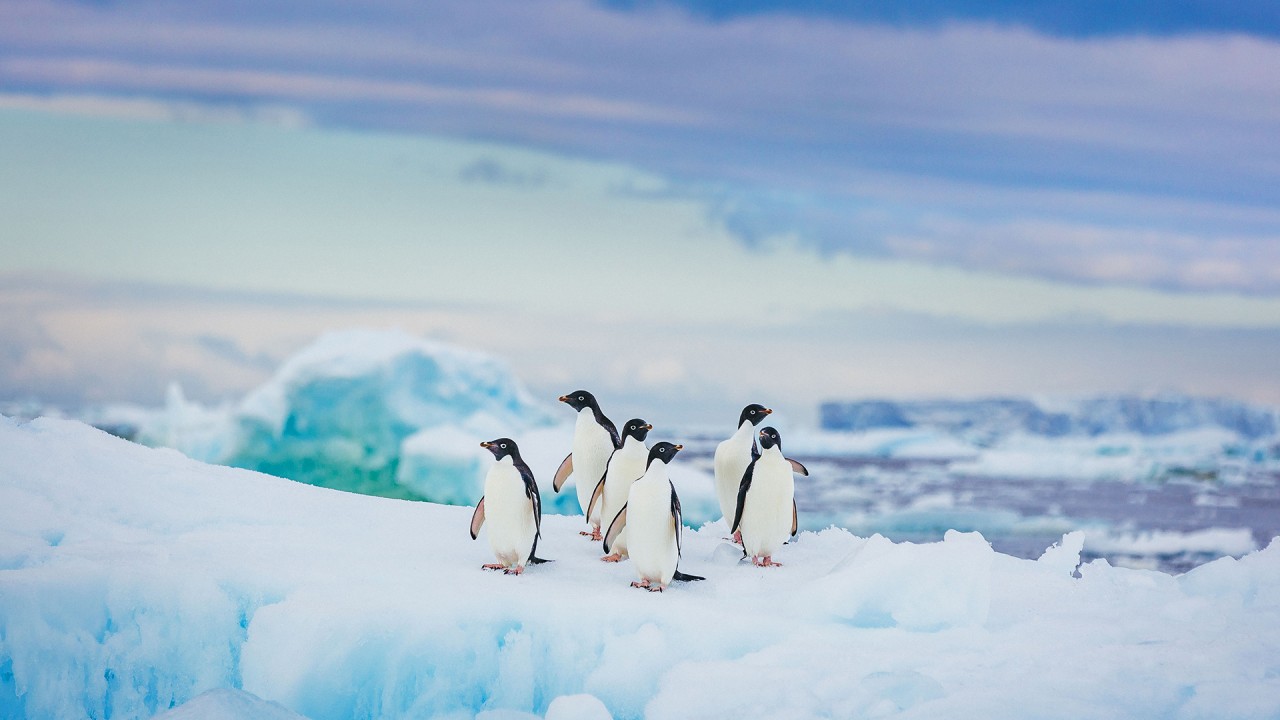 At home with the United Kingdom’s Antarctic Heritage Trust)