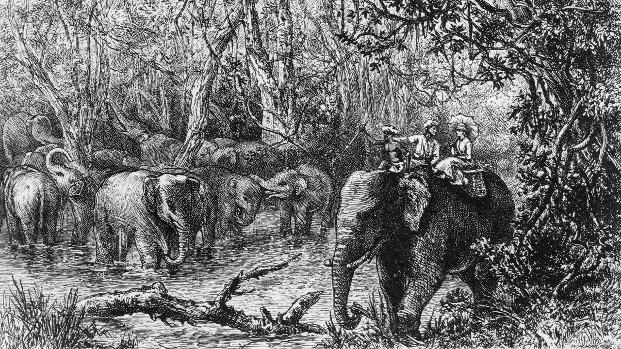 Celebrate women explorers of the 20th century with guest lecturer Sue Stockdale)