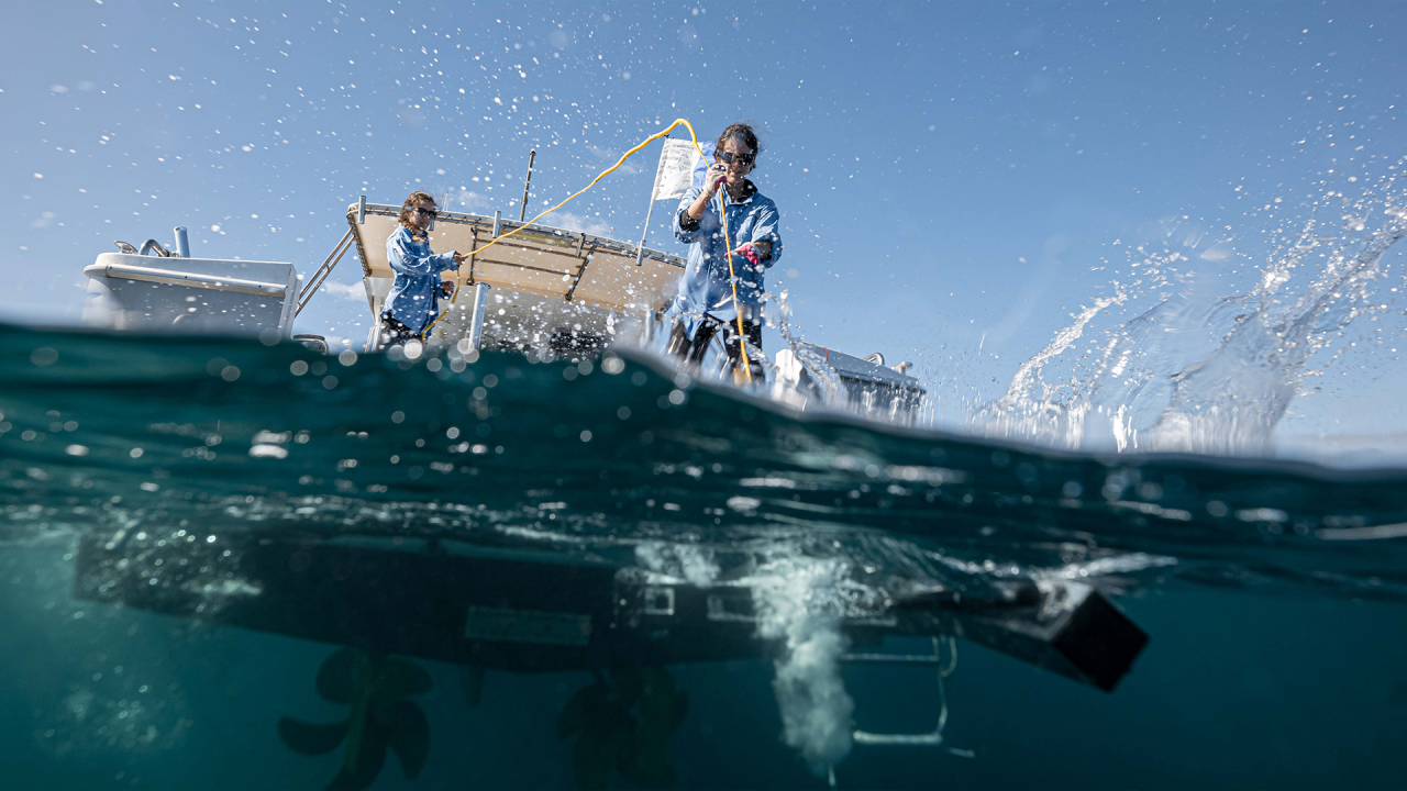 Anne Diamond learns about marine species research with Professor Jessica Meeuwig, co-founder of Blue Abacus)