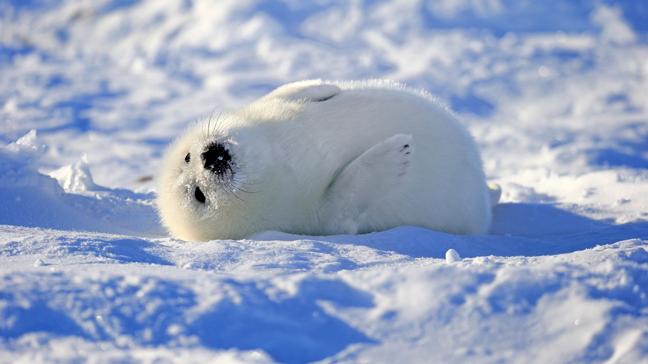 Discover our Canada & the Atlantic Coastline itinerary with Aaron Lawton)