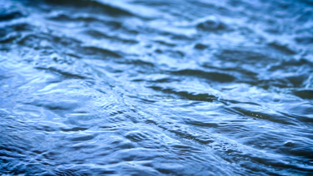 Meditation: Mindfulness with Mona Therese)