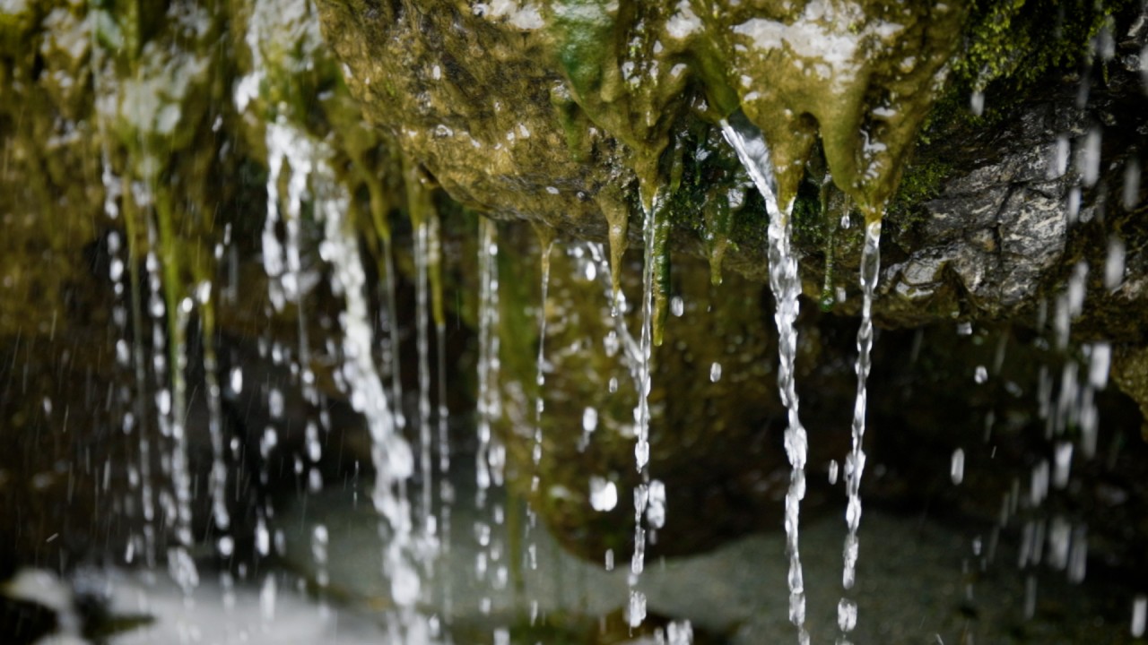 Meditation: Mindfulness with Mona Therese)