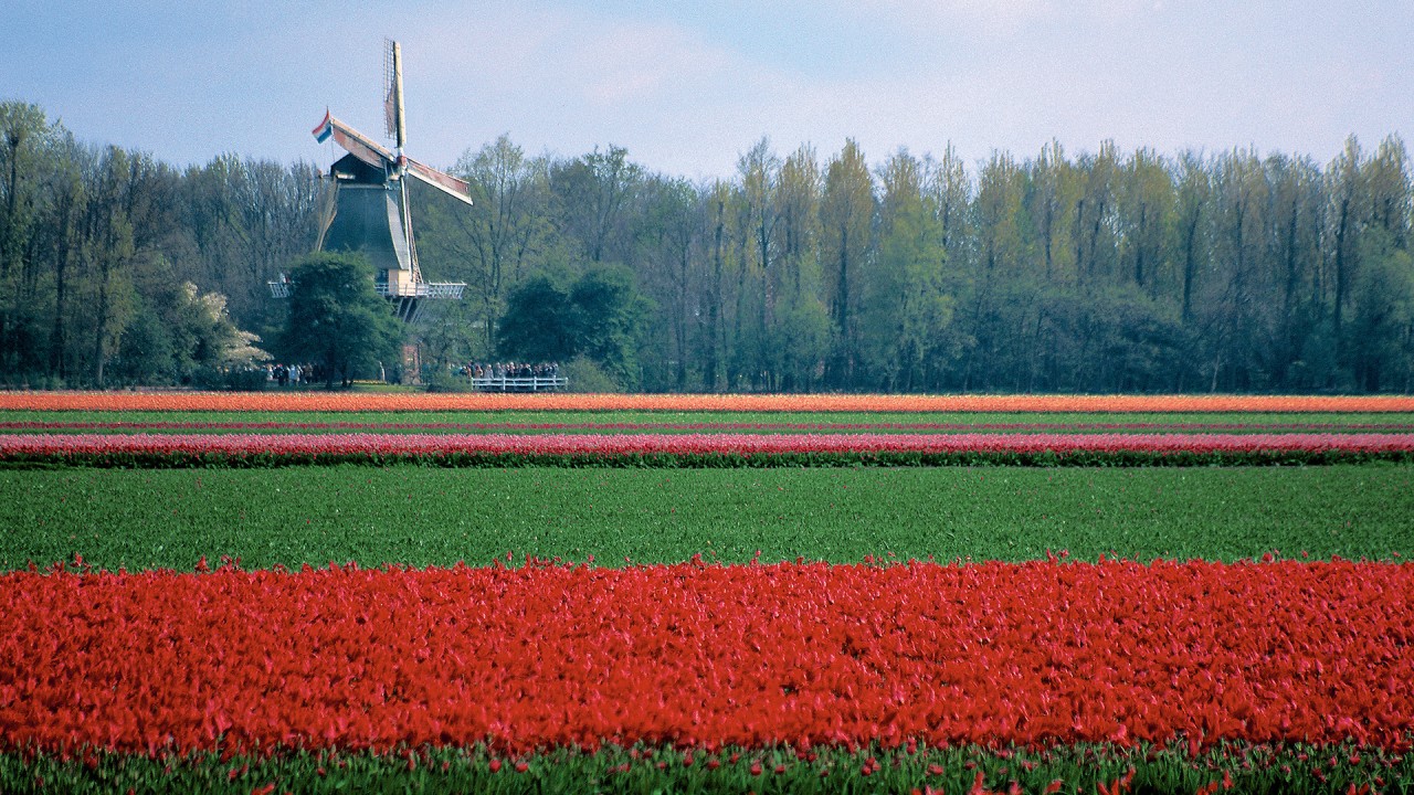 Learn about our Tulips & Windmills itinerary with Joost Ouendag and Irene Pieper)