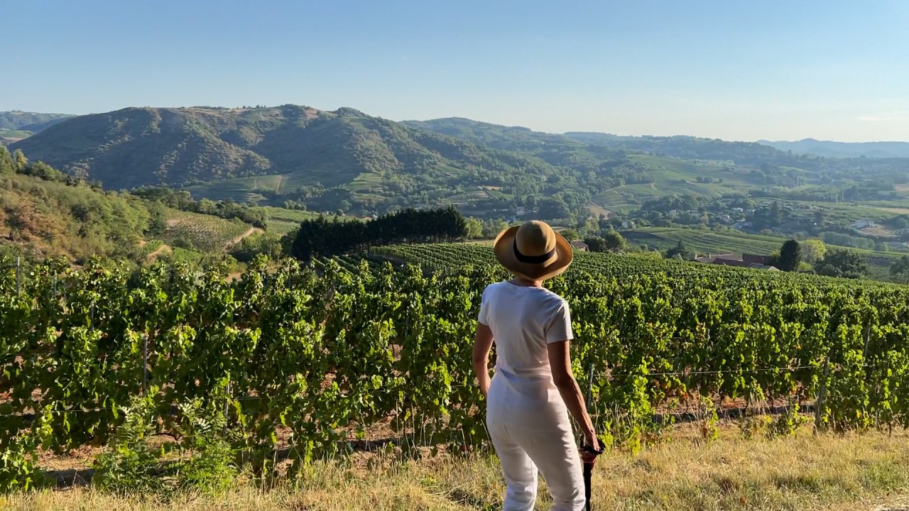 Step back in time and explore the Rhône Valley’s Roman past with Viking’s Nikolas Rabogliatti)