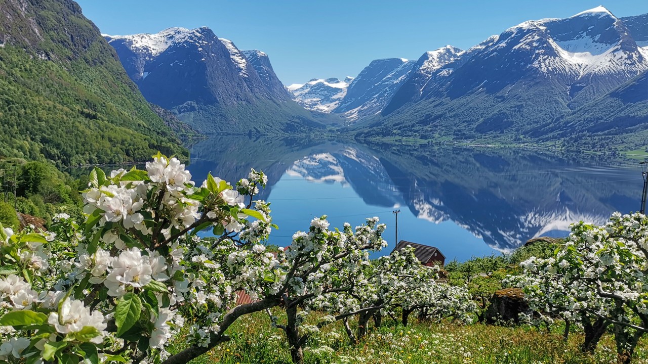 Uncover the secrets of Norwegian cider with Nevada Berg)