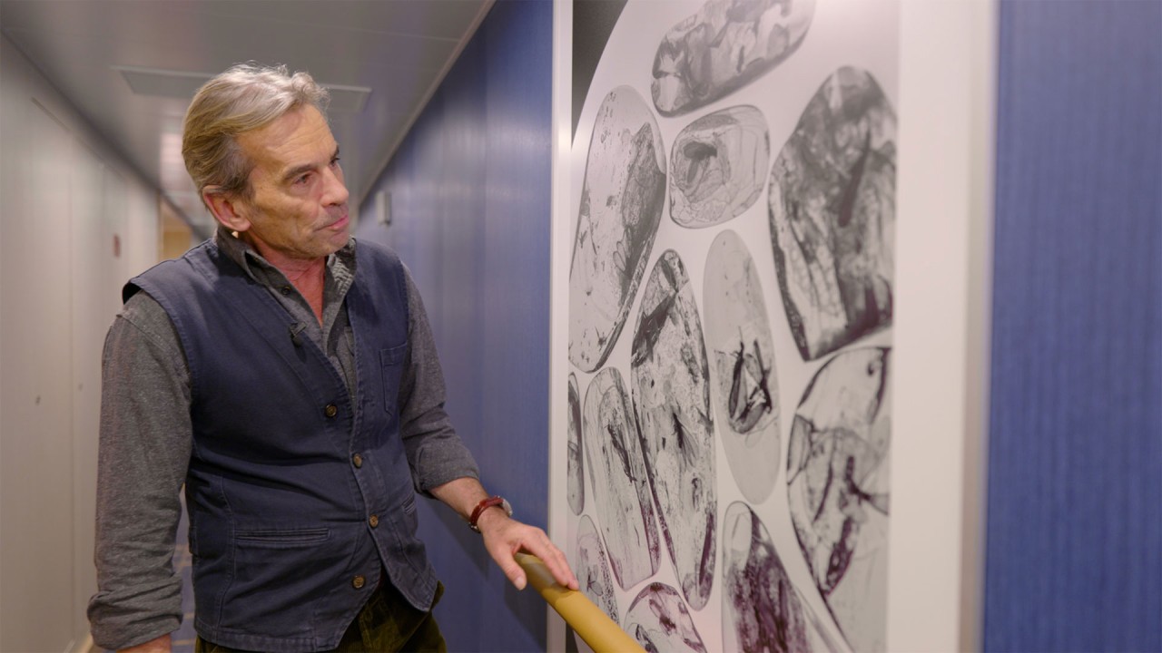 Explore ancient trade routes with Alastair Miller)