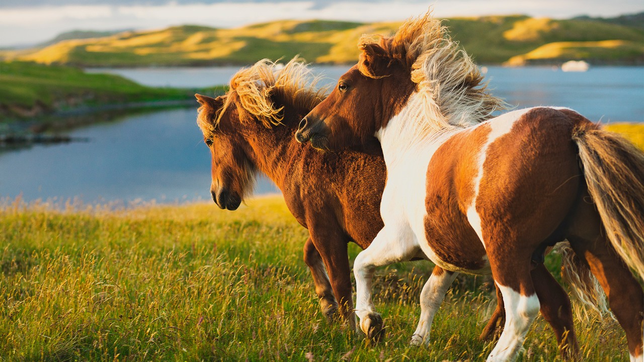 Discover 10 top British Isles experiences with Karine Hagen)