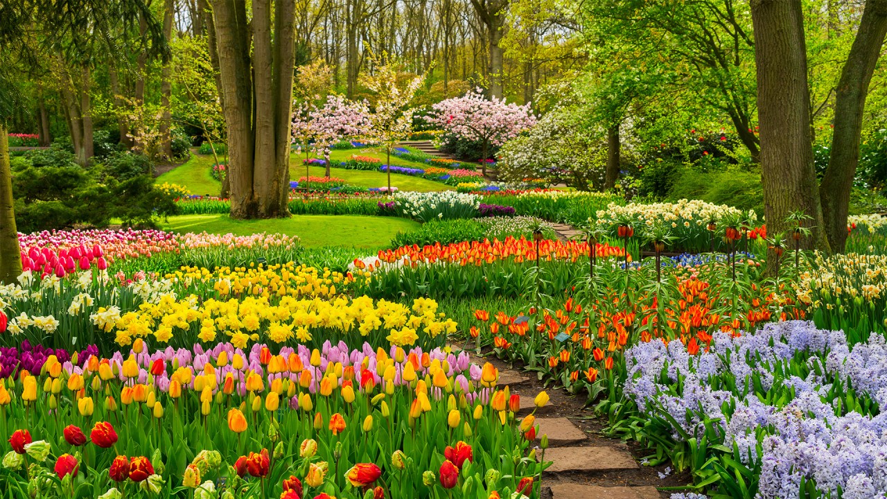 Experience Keukenhof Gardens with landscape designer Freddie Strickland