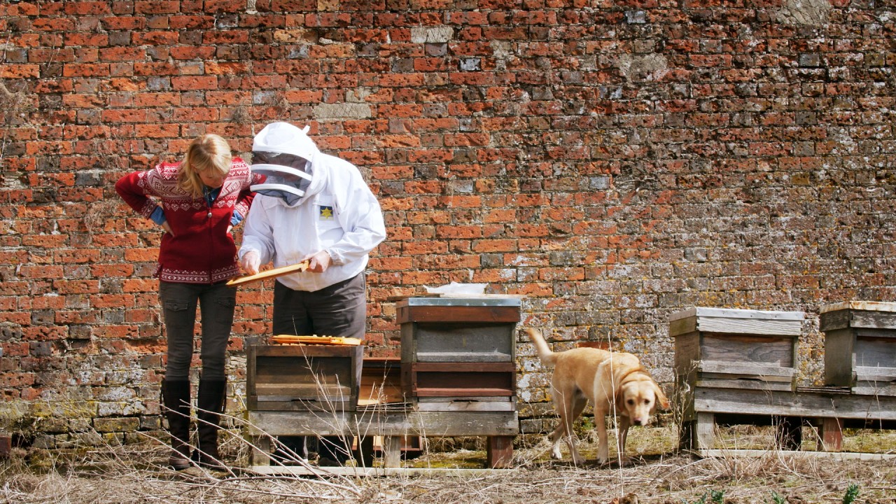 Mike the Beekeeper at Highclere)