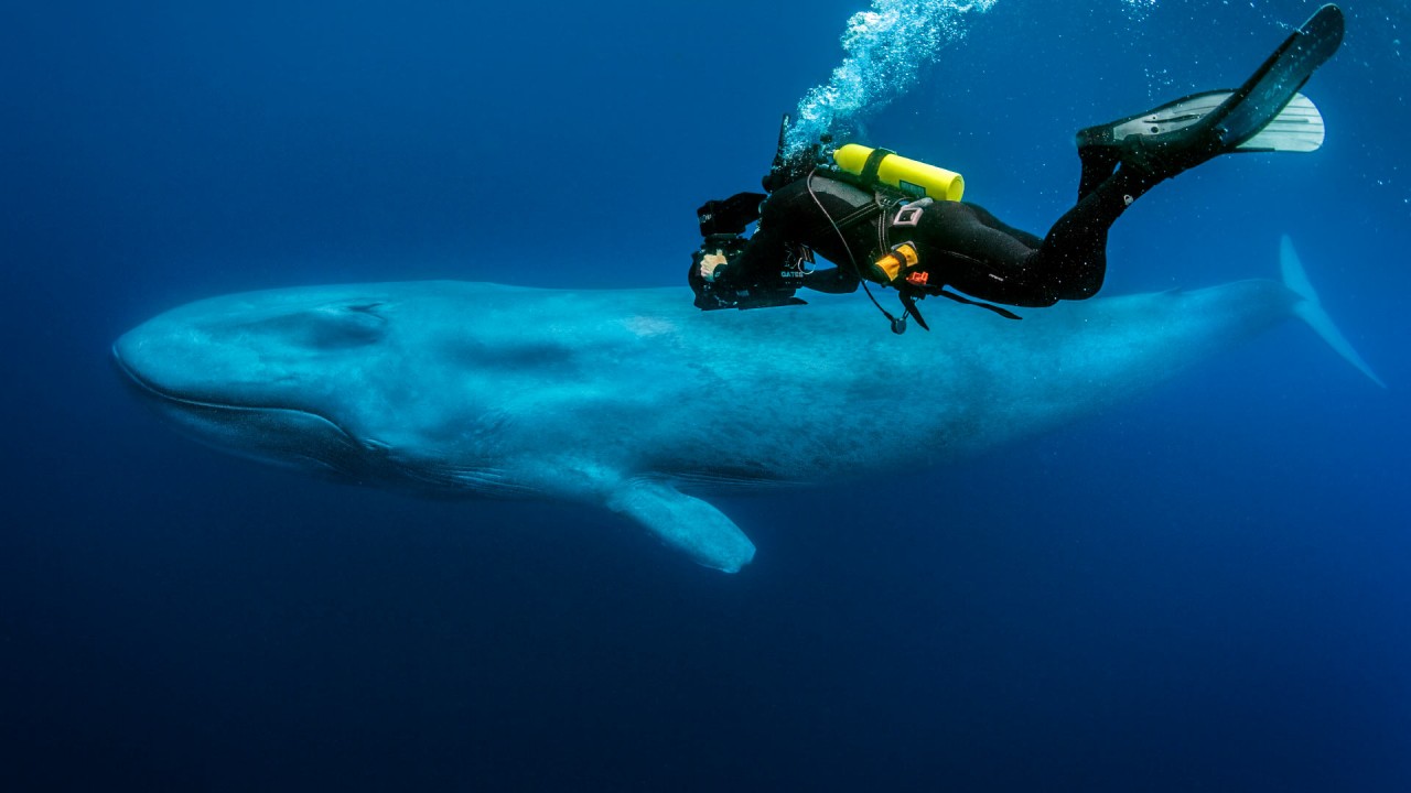 Behind the Scenes: Filming at Sea